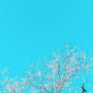 Della eka kelviani profile icon