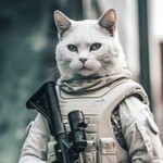 Balqis Anuar profile icon