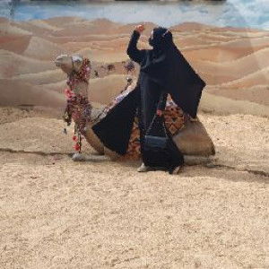 lis daryati profile icon