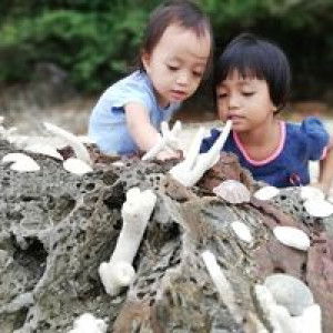 Scha Al Aydrus profile icon