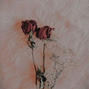 Devi Permata Sari profile icon