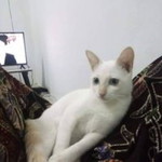 Mamee Hilmee profile icon