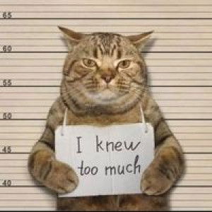 Ifah Manaf profile icon