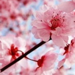 Munirah Munirah profile icon