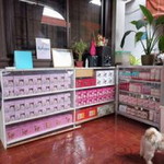 Aileen Pearl Olarte profile icon