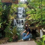 Ive Ive profile icon