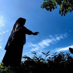 Mutia Tul profile icon