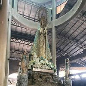 Fatima Amorin profile icon