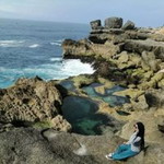 Dhesy Souvenir profile icon