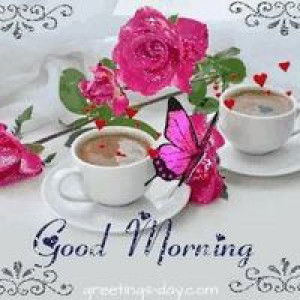 Aida Faiz profile icon