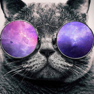 nueng nueng profile icon