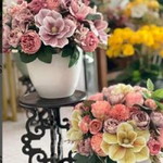 Sutera Qaseh profile icon