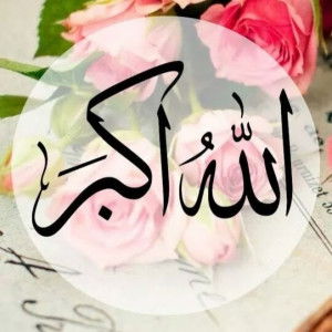 Aisyah izyan profile icon