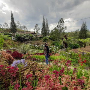 kkanisaaa profile icon