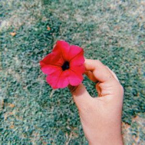 dianita devi profile icon