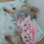 Chim Bares profile icon