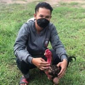 ไก่ชน ร้อยเอ็ด profile icon