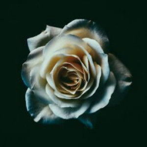 Laelatul Sari profile icon