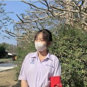 Nanthakarn Cheerful profile icon