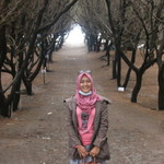 nelita elfira profile icon