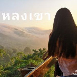 ห ล ง เ ข า profile icon