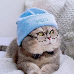 Eka Novita profile icon