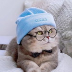 Eka Novita profile icon