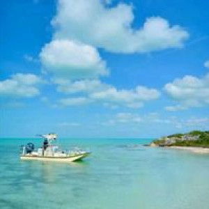 Yulida Cahya profile icon