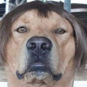 วาสนา มันสามุข profile icon