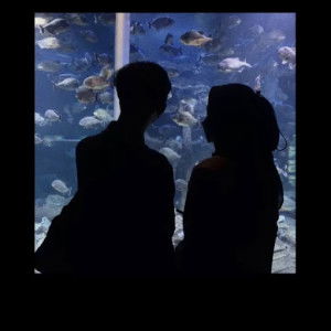 melianda profile icon