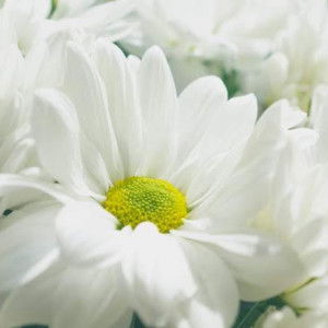 Fauziah Rahmadani profile icon