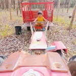 น้องอิงฟ้า หอย ซิ่ง profile icon