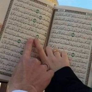 Nisawe FT profile icon