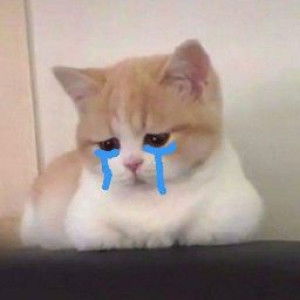 kunlanat profile icon