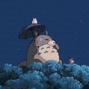 NANA RIS profile icon