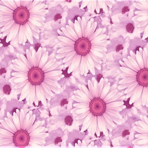 Fathul Jannah profile icon