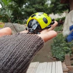 Yuyun Viarth profile icon