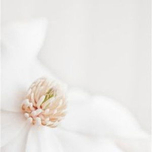 ulva ardillah profile icon