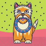 Noi profile icon
