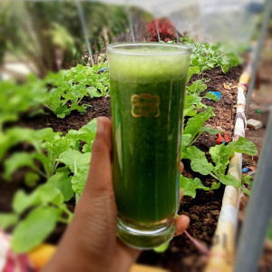 แม่บ้าน เกษตรอินทรีย์ profile icon