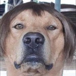 นะ นุชช. profile icon