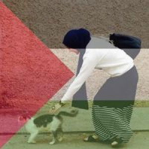 Anis Fauzi profile icon