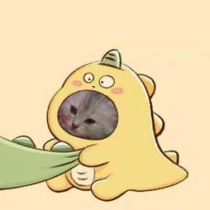 Risti Ling profile icon