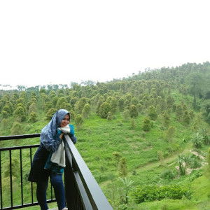 Dian Novita profile icon