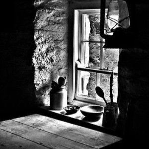 Indri Wdwt profile icon