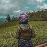 Putri Patria Pertiwi profile icon