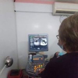 Rosaroso Donnalyn profile icon