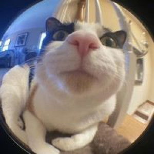 Twentynine Nrngkelly profile icon