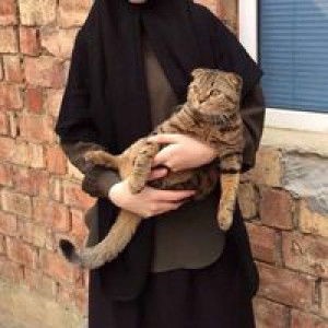 Nur Kasih profile icon