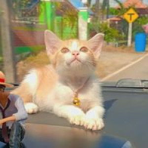 ยัย’ย ตัวร้ายยย profile icon